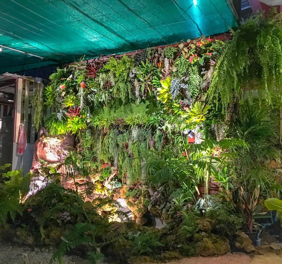 Bann Ton Kho Hotel Khao Kho Eksteriør billede